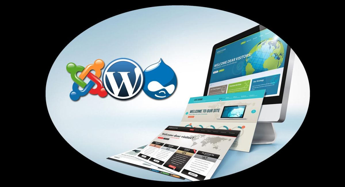 Web Designer e CMS