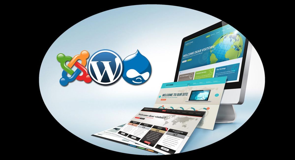 Web Designer e CMS